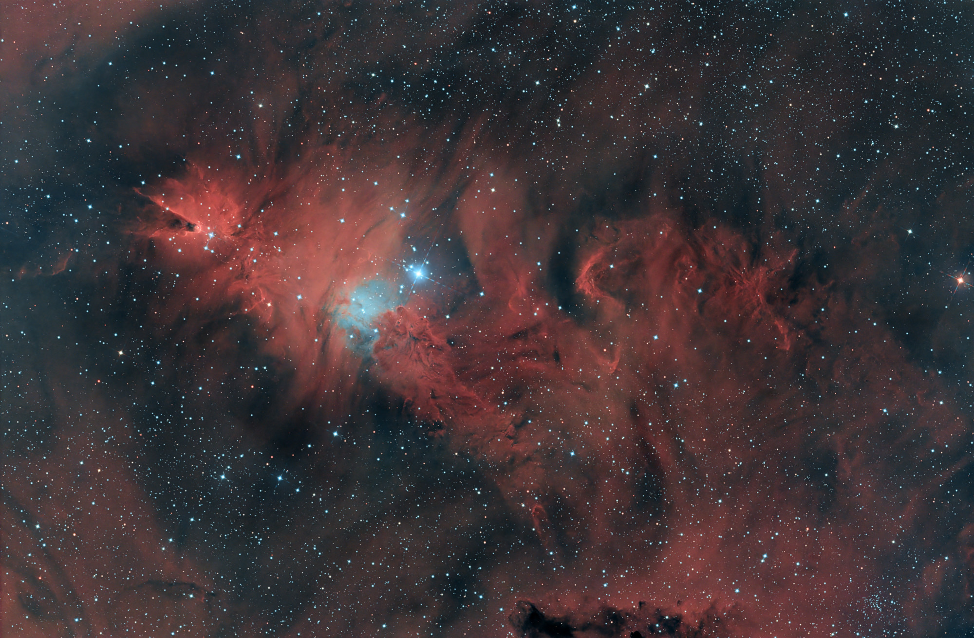 The bluish open star cluster NGC 2264 lies in the constellation Unicorn and is a very young star-forming region. The cone-shaped dark nebula on the left is about seven light years in extent.